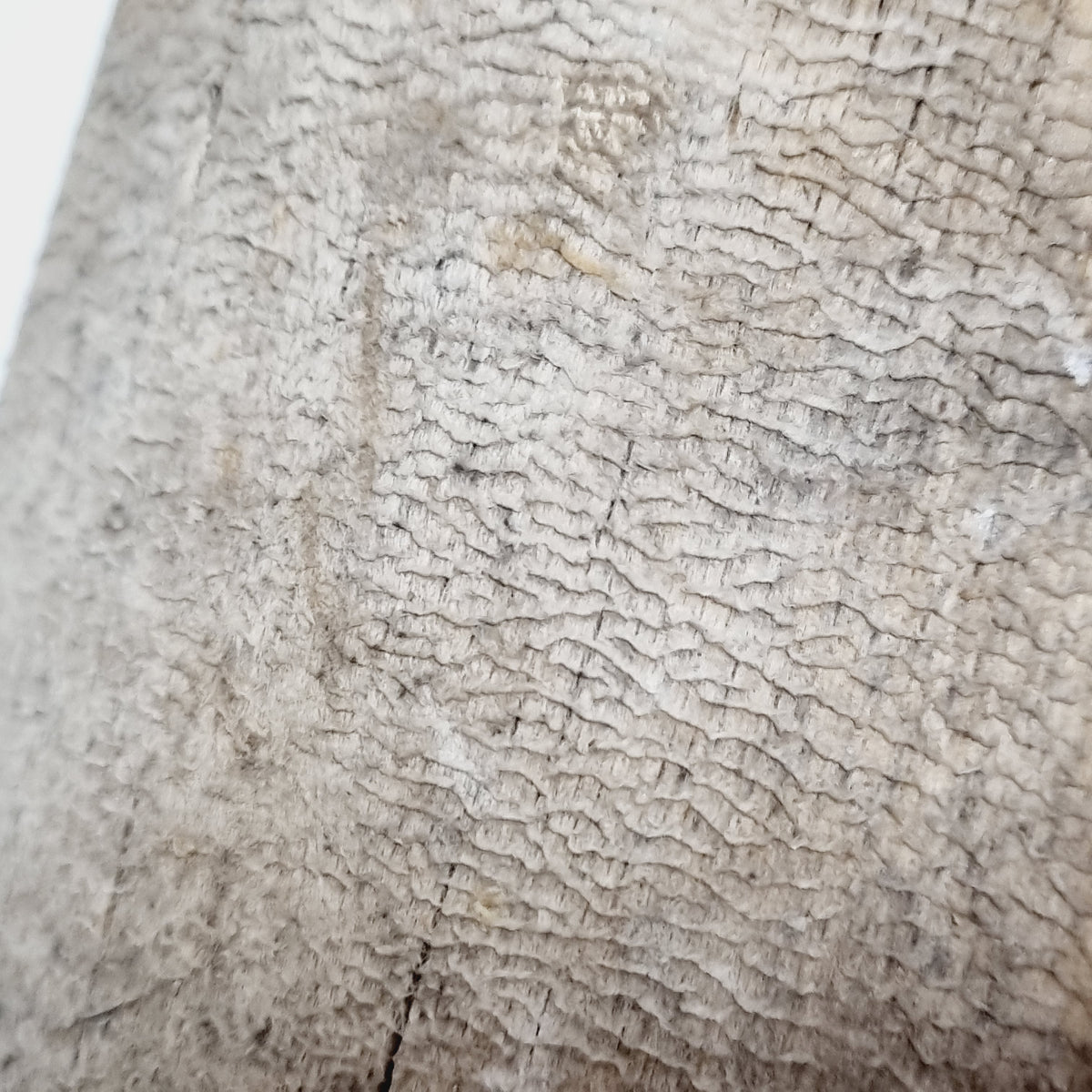 Close-up of the deeply textured, weathered grain on the skäkta blade