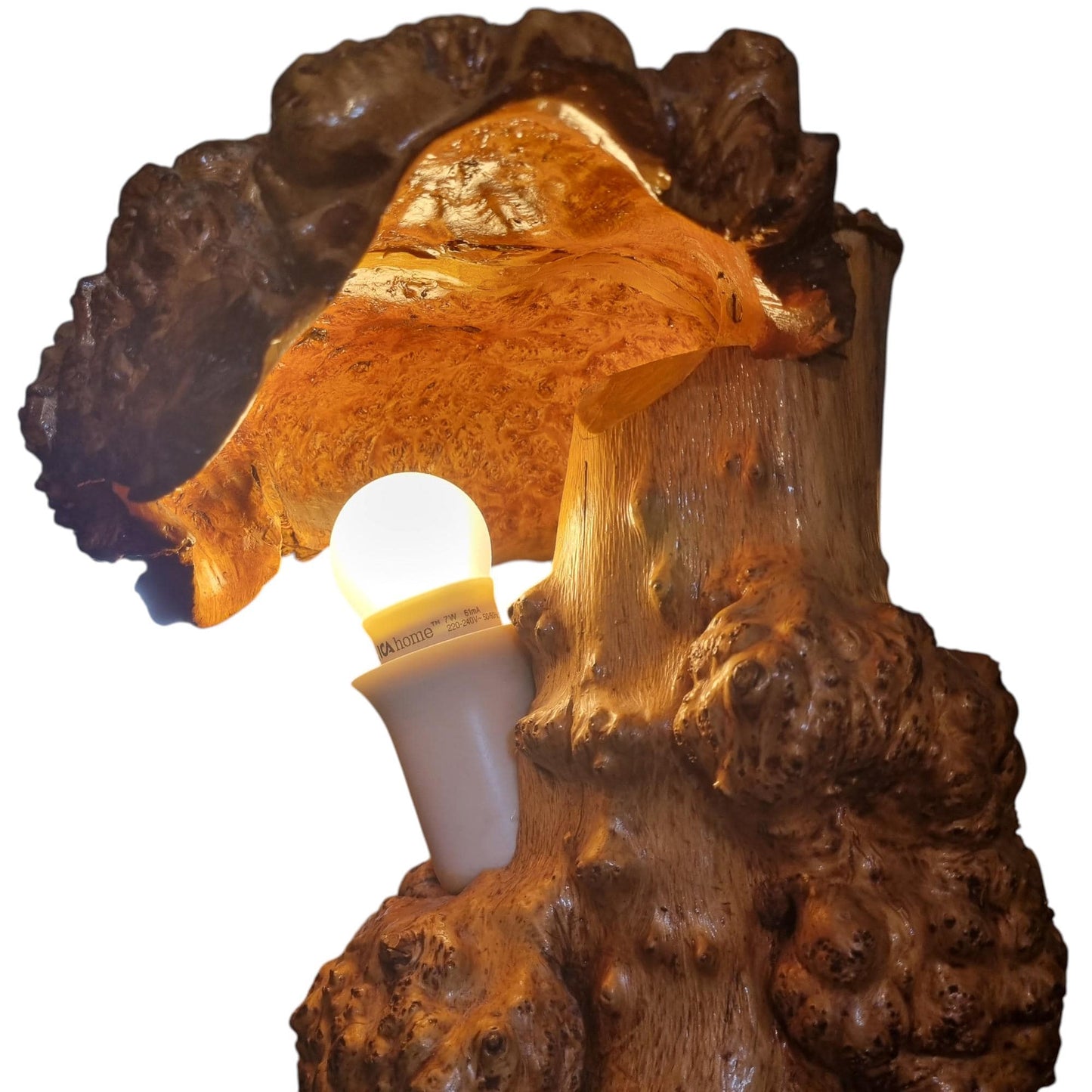 One of a Kind Burl Wood Mushroom Lamp, Organic Modern Root Sculpture, Hand Carved Artisan Table Lamp, Rustic Luxury Statement Lighting